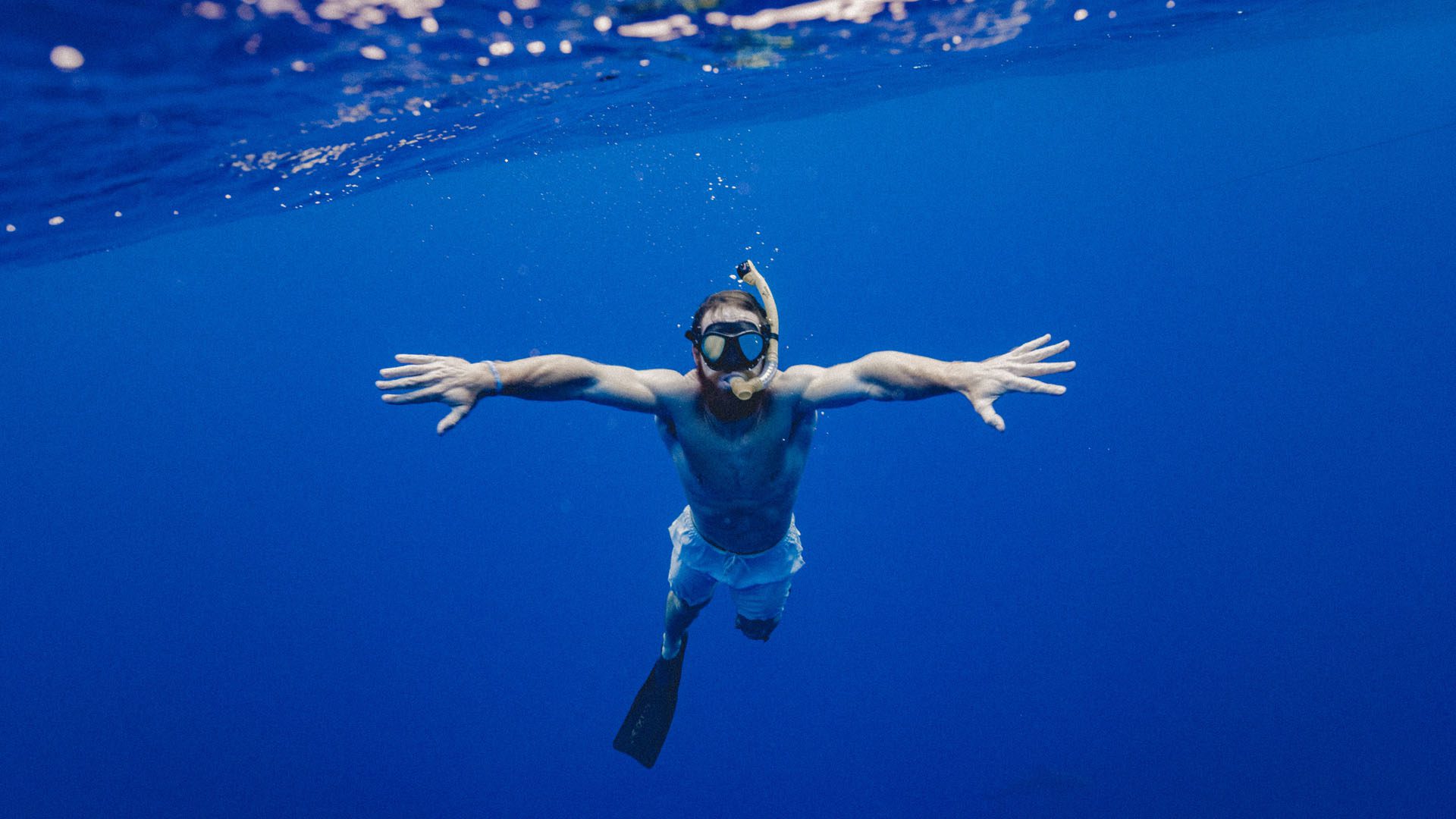 snorkel in the ocean